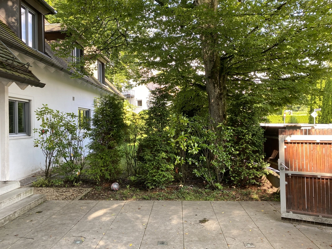 Umgestaltung Vorgarten 3